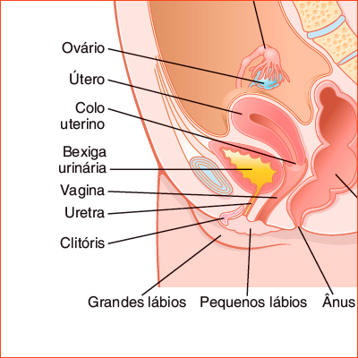 VAGINA